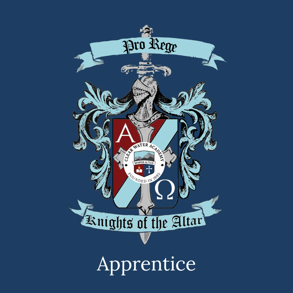 New Apprentice  Icon
