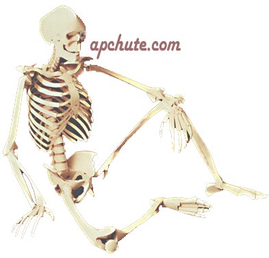 Anatomy and Physiology Resources