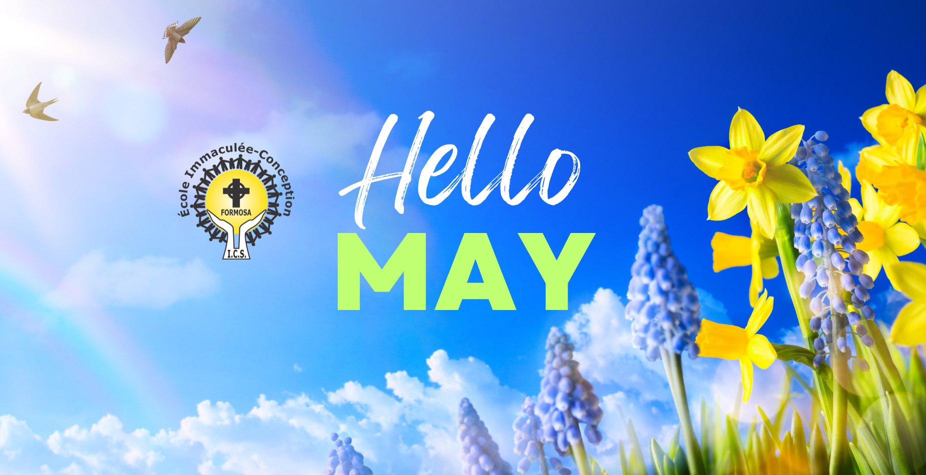Hello May
