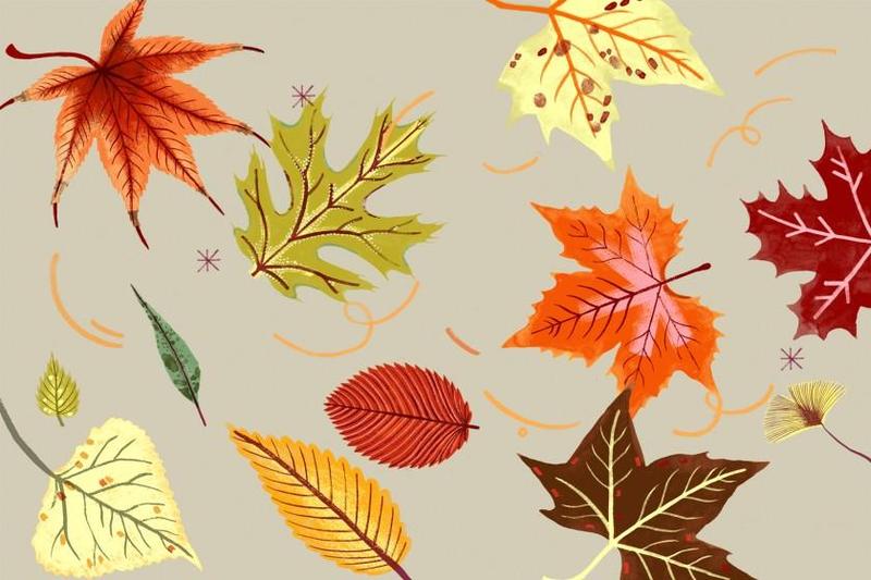 Wear your fall colours Wednesday, Oct 20th Featured Photo
