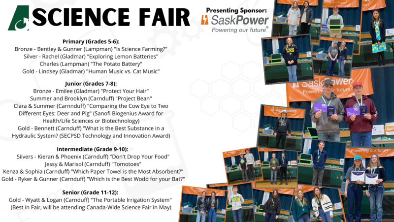 Science Fair at Lampman School