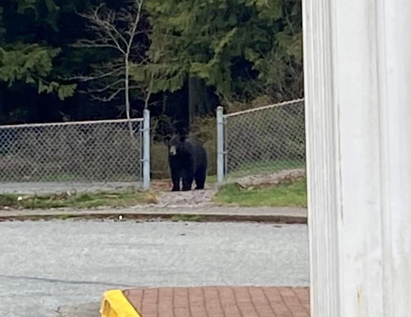 BRE Friday Communicator Apr 21st