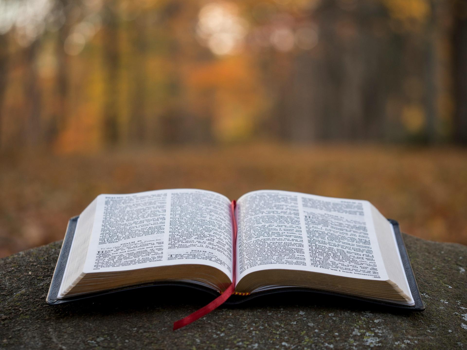 A large book open down the middle. 