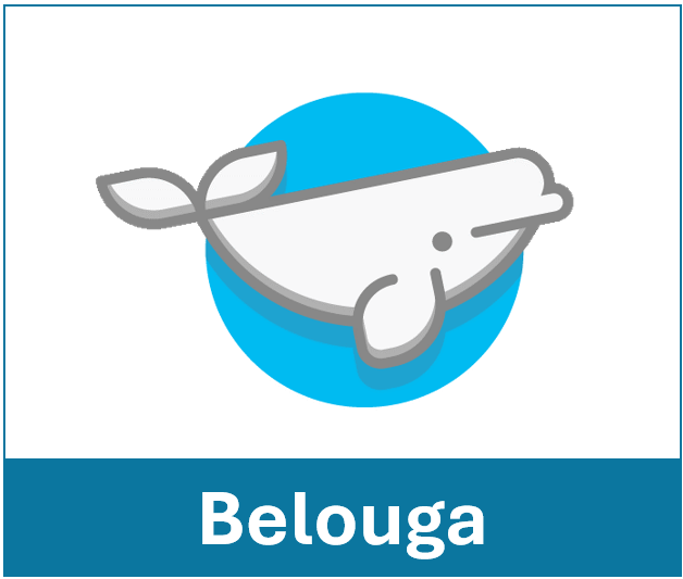 Belouga Icon
