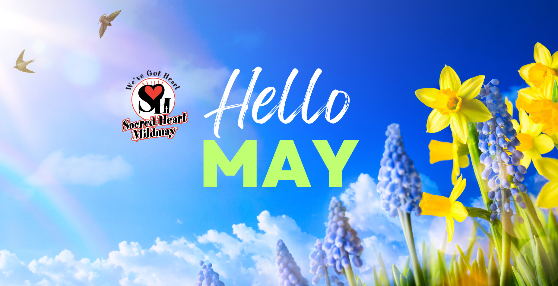 Hello May