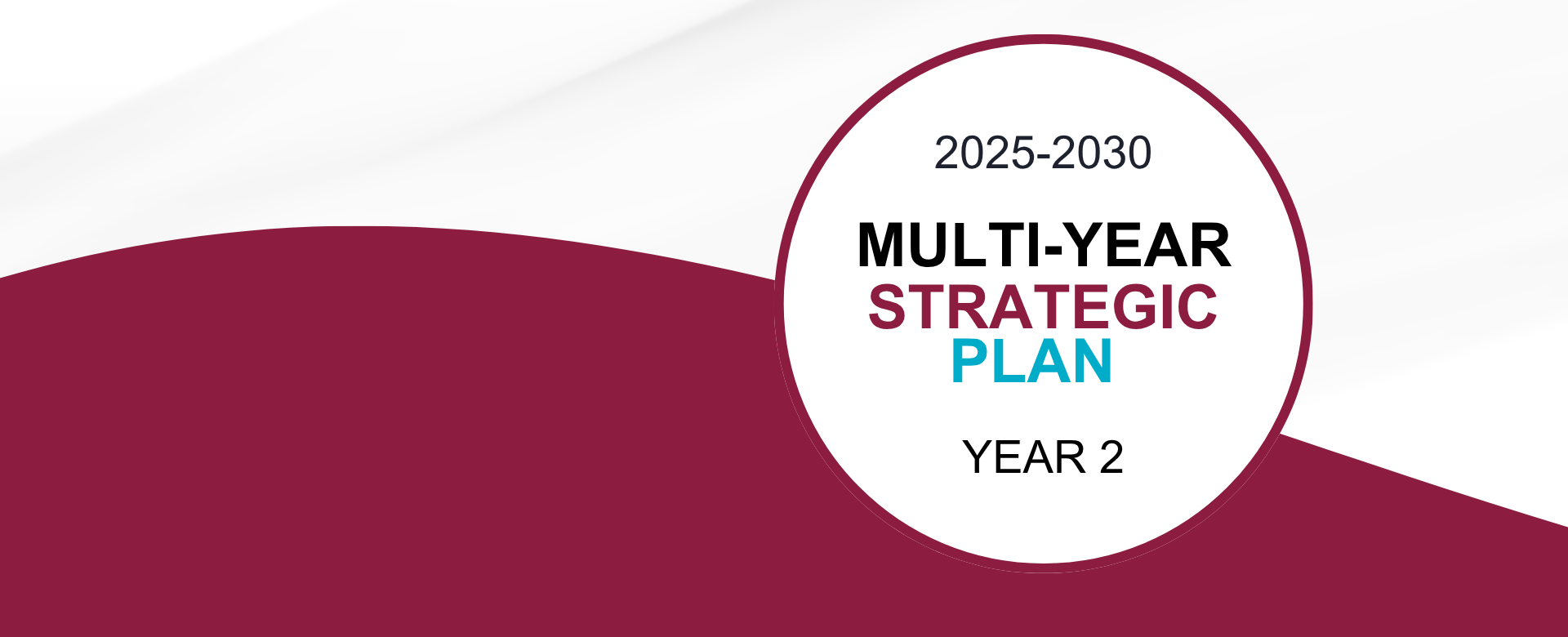 Multi-Year Strategic Plan Year 2 graphic.