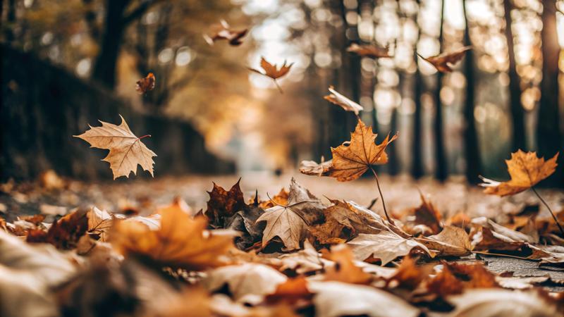 October 3rd 2025 Featured Photo