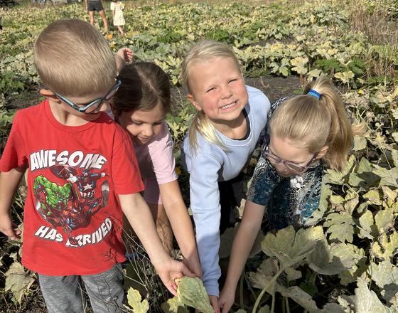 Four children smiling and reaching towards plants in a field.