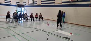 Boccia Ball 2