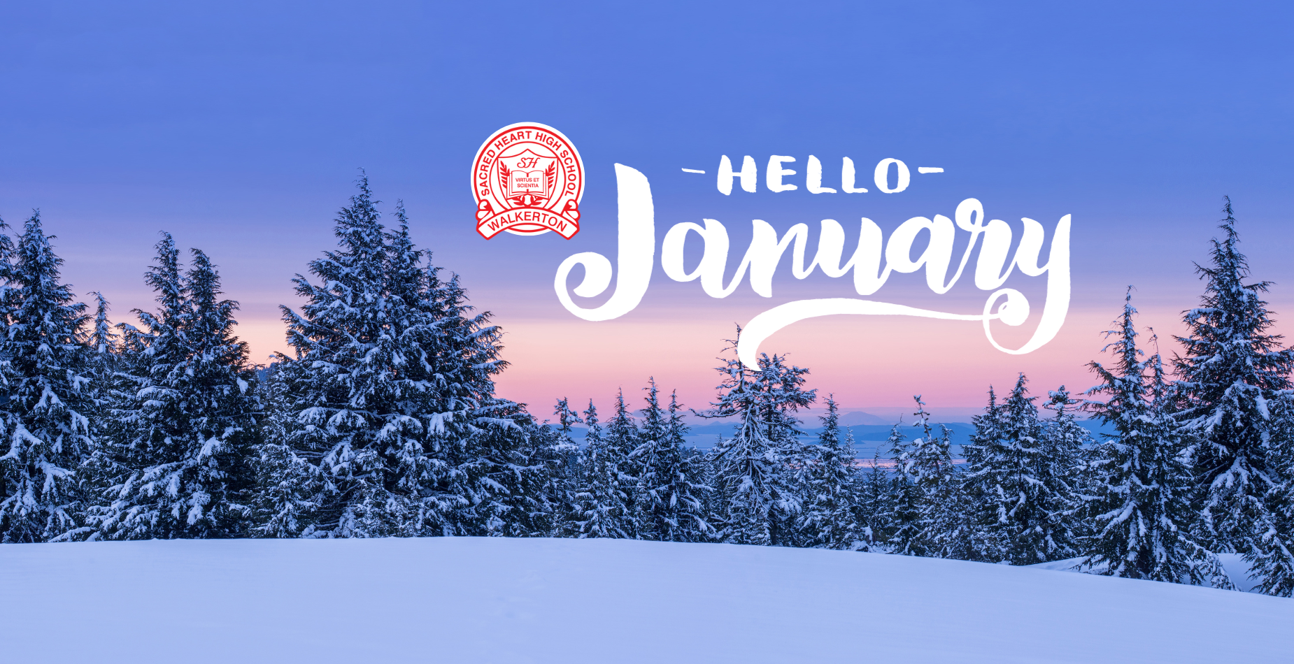 Hello January