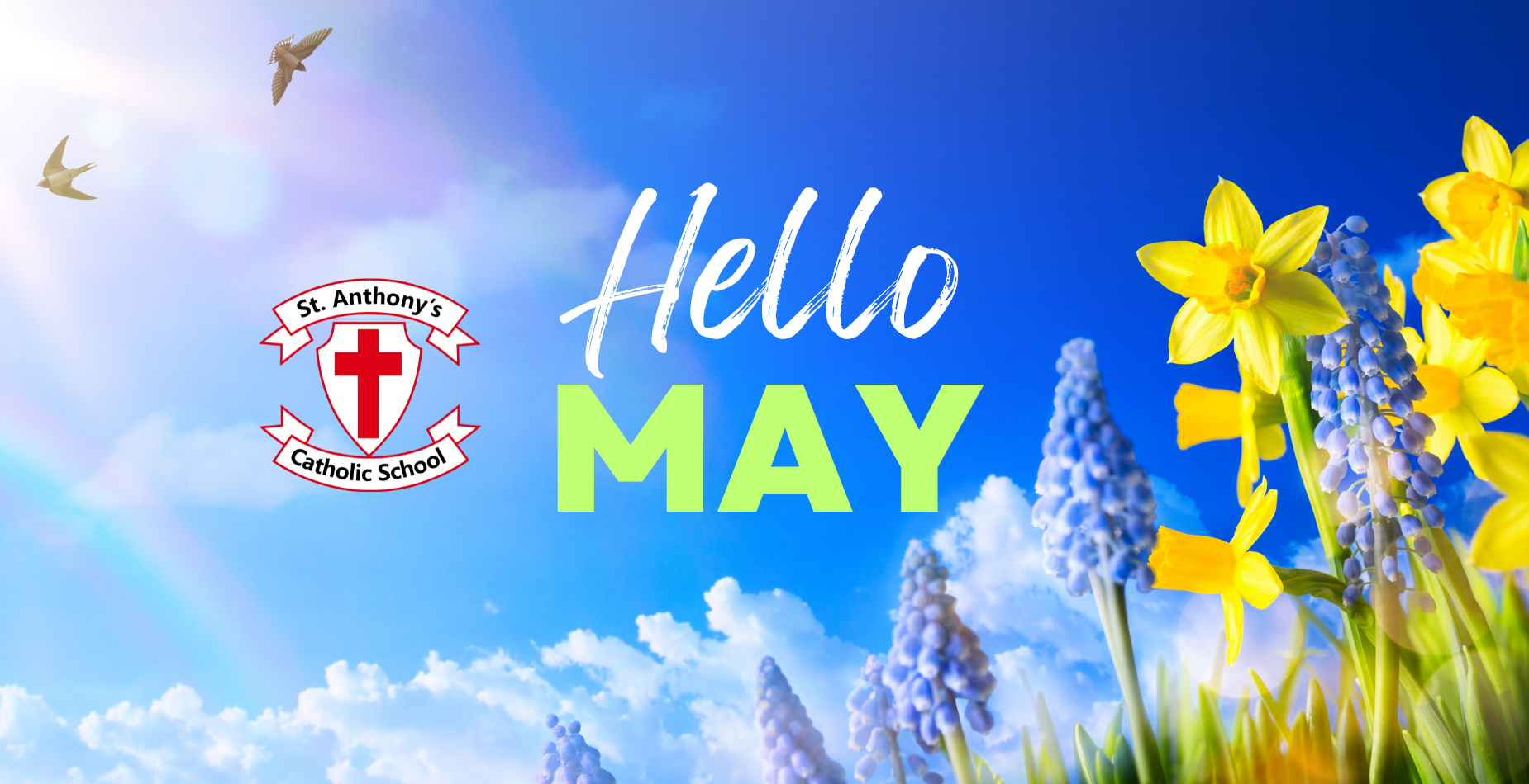 Hello May