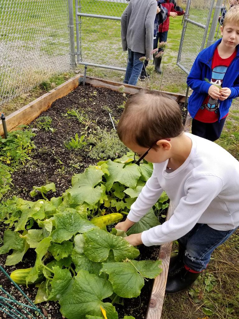 Photos West Bench Elementary