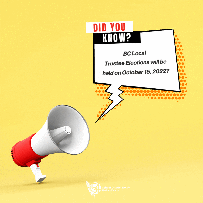 Bc Local Trustee Elections will be held on October 15, 2022. Featured Photo