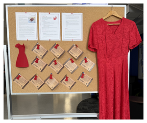 Image of a bulletin board and a red dress on a hanger.