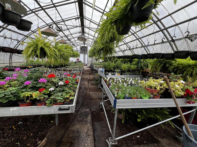 greenhouse