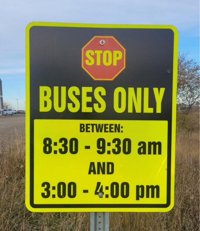 buses only