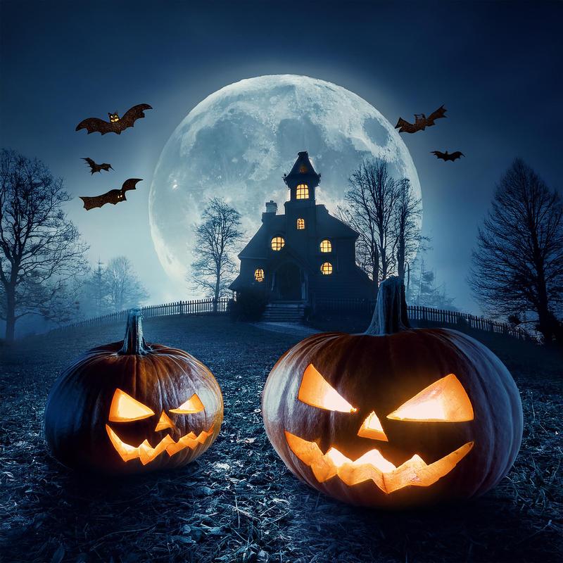 October 23rd 2025