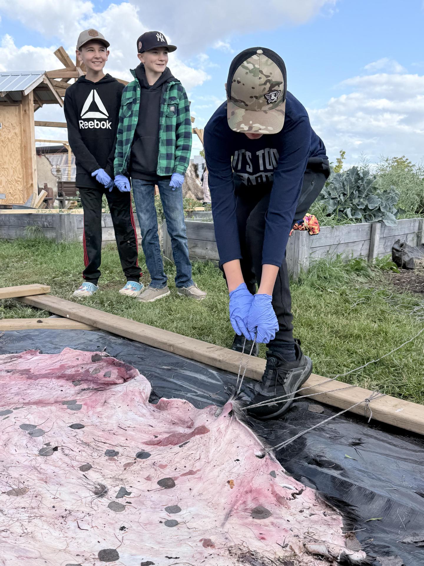 Indigenous Education