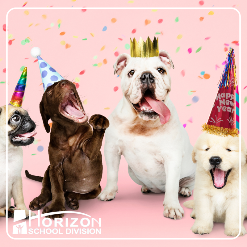 Four playful dogs wearing festive party hats and crowns sit against a pink background with colourful confetti falling around them. The dogs have joyful expressions, with some yawning or panting as if celebrating. One hat reads 