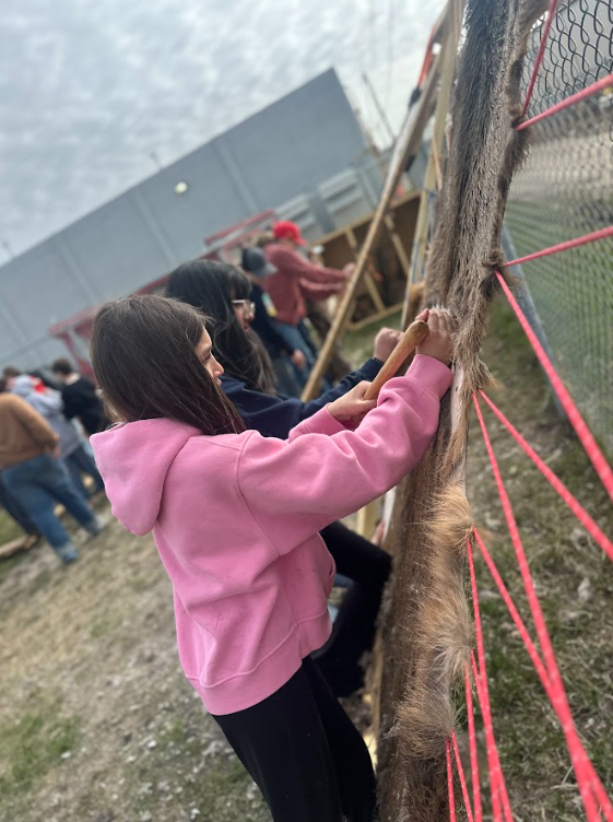 Elk Hide Story