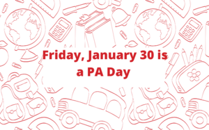 Professional Activity Day