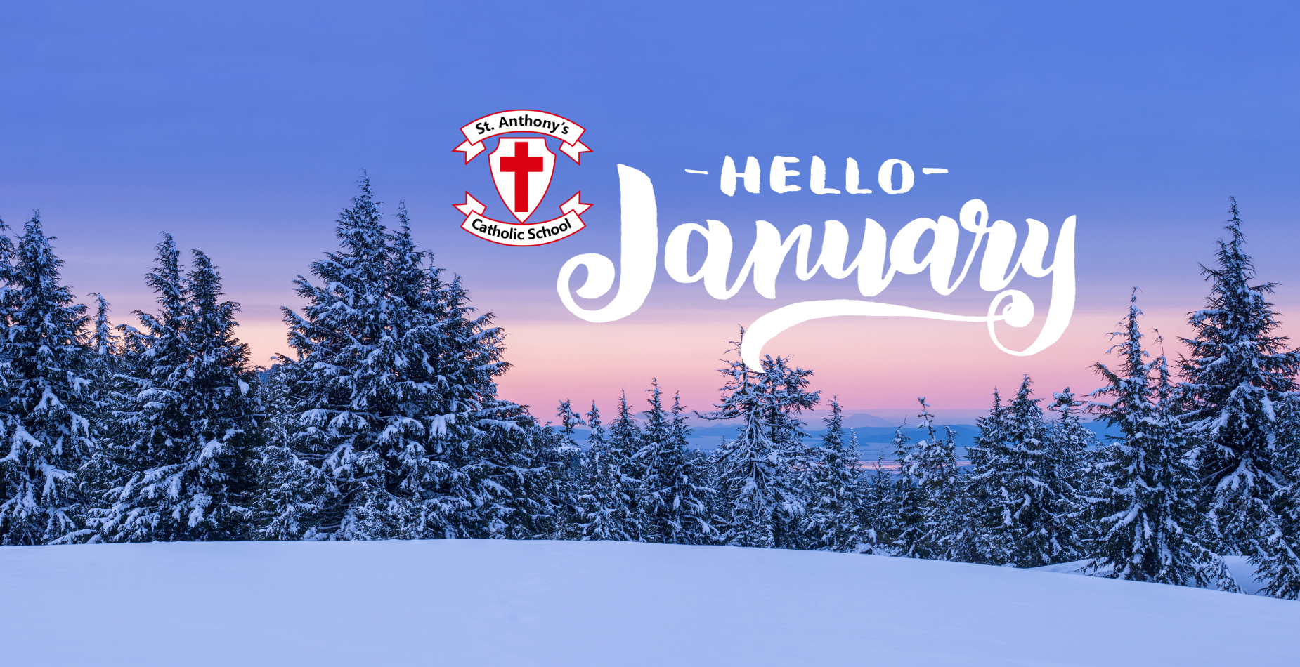 Hello January