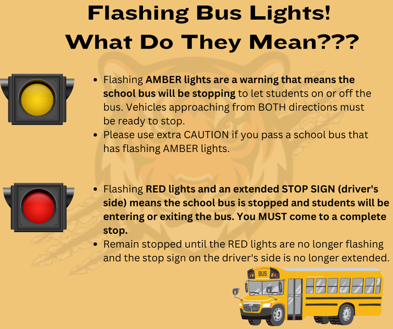 🚦 Important Safety Reminder for HBS Families 🚦