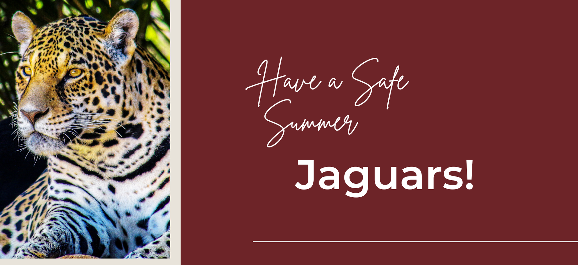 Have a Safe Summer Jaguars