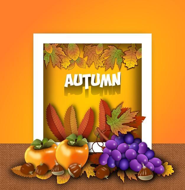 BON SCHOOL NEWS OCT. 1/2025 Featured Photo
