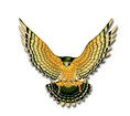 Foothills Falcons!
