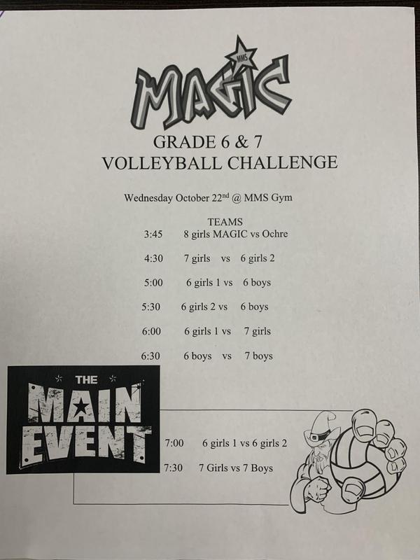 Volleyball Challenge