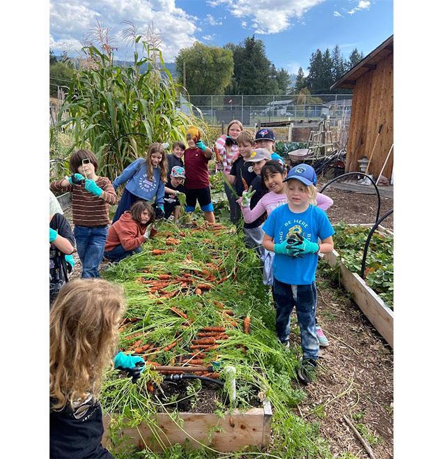 Harvesting in the Community School Garden Featured Photo