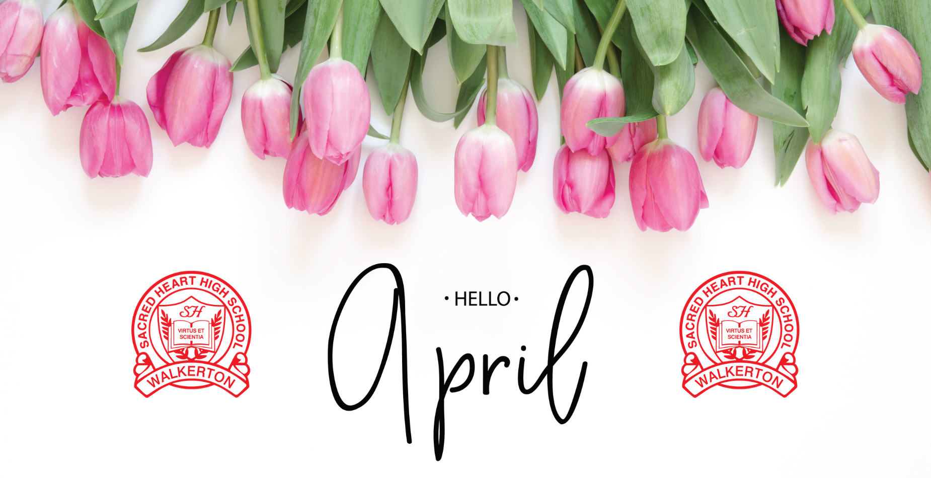 Hello April