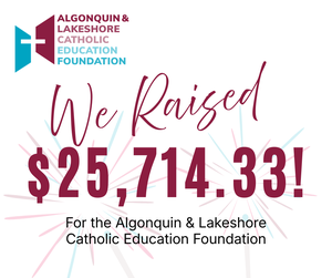 Graphic that says, "we raised $25,714.33".