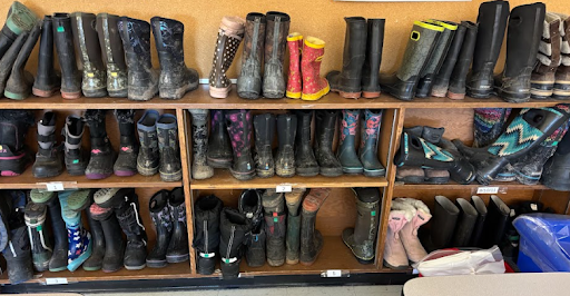 rows of boots in the Stephen "Tiger's Closet"