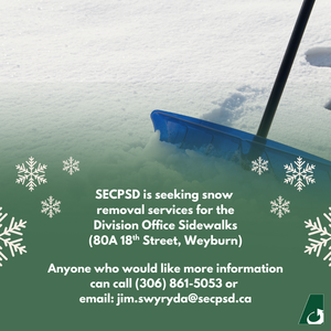 Seeking snow removal services