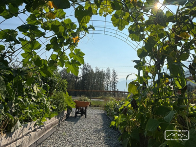Signal Hill Greenhouse Project Featured Photo