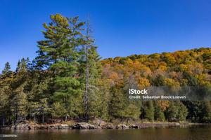 fall day