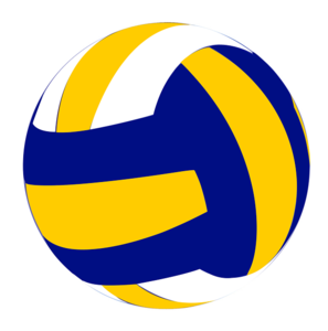 Graphic of a Volleyball
