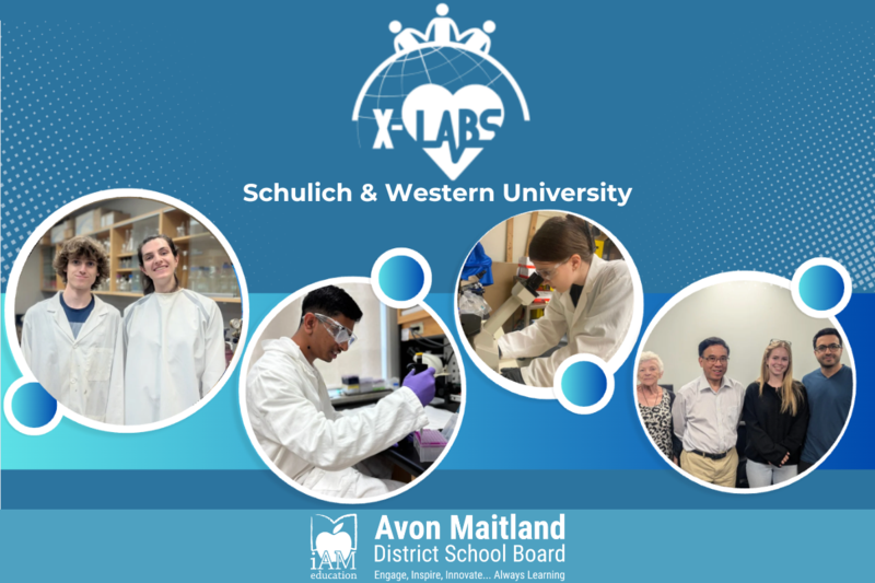 A promotional graphic for the x-Labs program featuring students in lab coats working in research labs. The top of the graphic displays the x-Labs logo with the text "Schulich & Western University." Four circular photos show students engaged in science activities—two students smiling in a lab, a student pipetting, a student using a microscope, and a group of students and mentors posing together. At the bottom is the Avon Maitland District School Board logo with the tagline: "Engage, Inspire, Innovate... Always Learning."