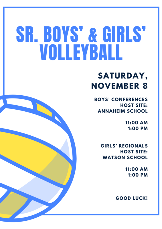 senior volleyball playoffs