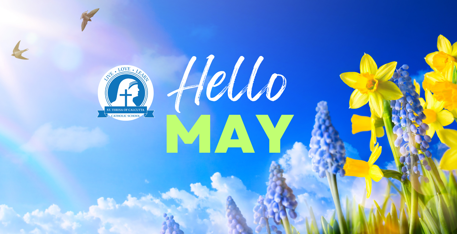 Hello May
