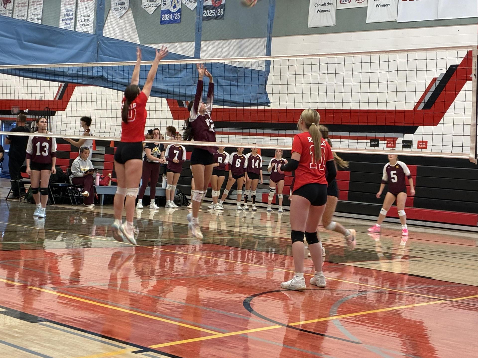 Volleyball