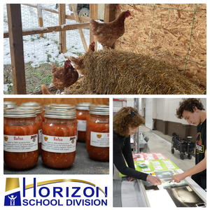 A four-panel collage featuring activities from Horizon School Division. The top image shows several brown chickens standing on and around a bale of hay inside a wooden coop with wire fencing and patches of snow visible outside. The bottom left image shows rows of glass jars labeled “Salsa,” filled with red salsa and sealed with metal lids. The bottom right image shows a student and an adult leaning over a large table, examining or arranging printed materials together in a workshop or classroom setting. The Horizon School Division logo appears in the lower left corner of the collage.