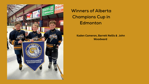 Presentation - Bengals in the Community (5).png