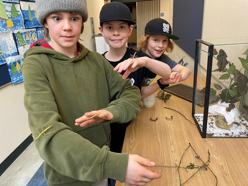 BRE Friday Communicator Feb 23