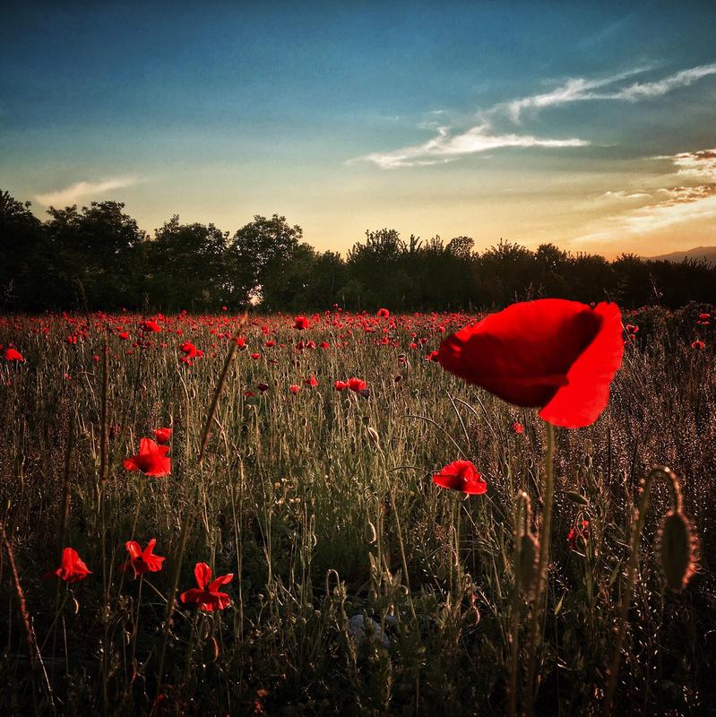 November 7th 2025 Featured Photo