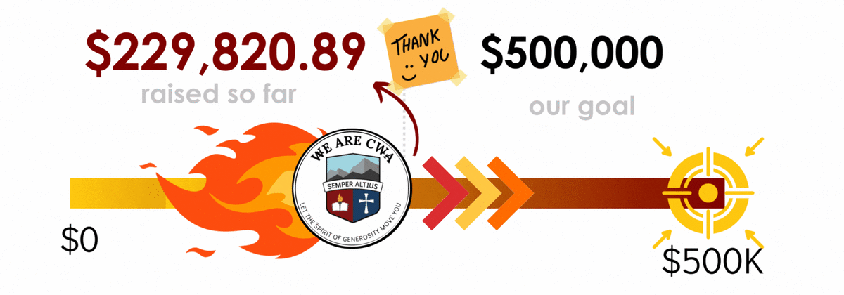 Donation Progress, Goal 500,000