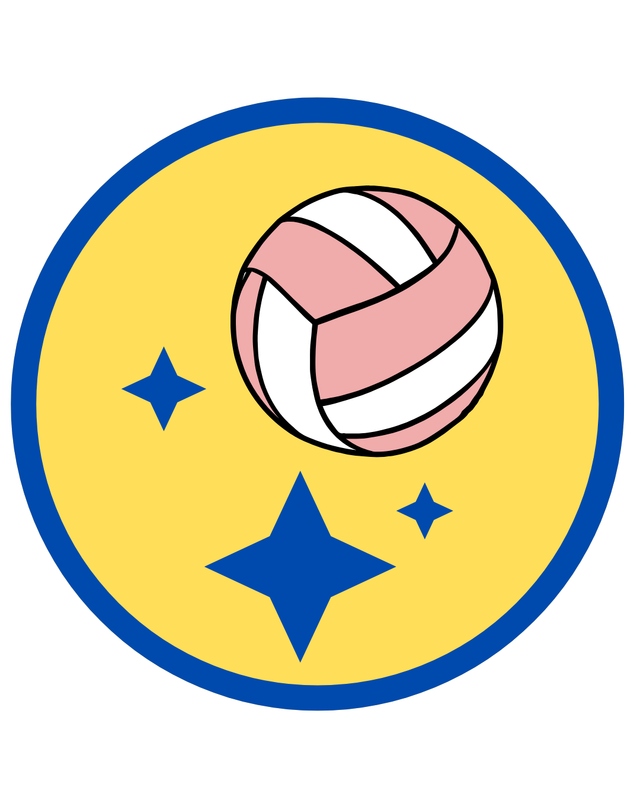 Image of a volleyball and stars