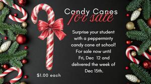 candy canes for sale